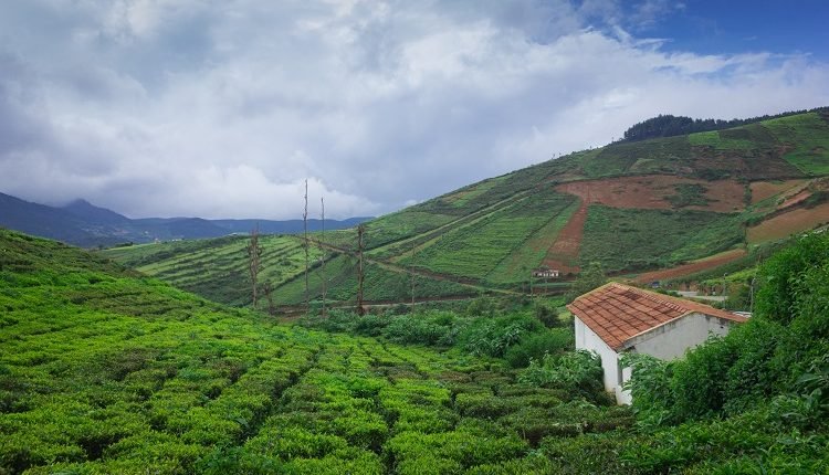 Indias Eco-friendly Destinations- Coorg, For The Eco-Conscious Traveler